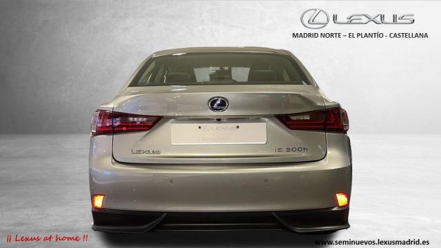 LEXUS 300h Executive Tecno + Navibox 182€/mes