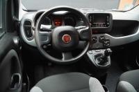 Fiat Panda City Life Hybrid 1.0 Gse 51kw (70CV)