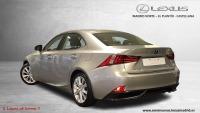 LEXUS 300h Executive Tecno + Navibox 182€/mes