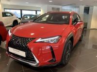 LEXUS 2.0 250h Business 255€/mes