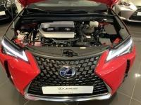 LEXUS 2.0 250h Business 255€/mes