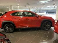 LEXUS 2.0 250h Business 255€/mes