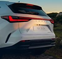 Lexus NX 450H+ Híbrido enchufable